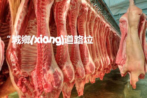“城鄉(xiāng)道路垃圾污水處理，共建綠色家園新篇章”